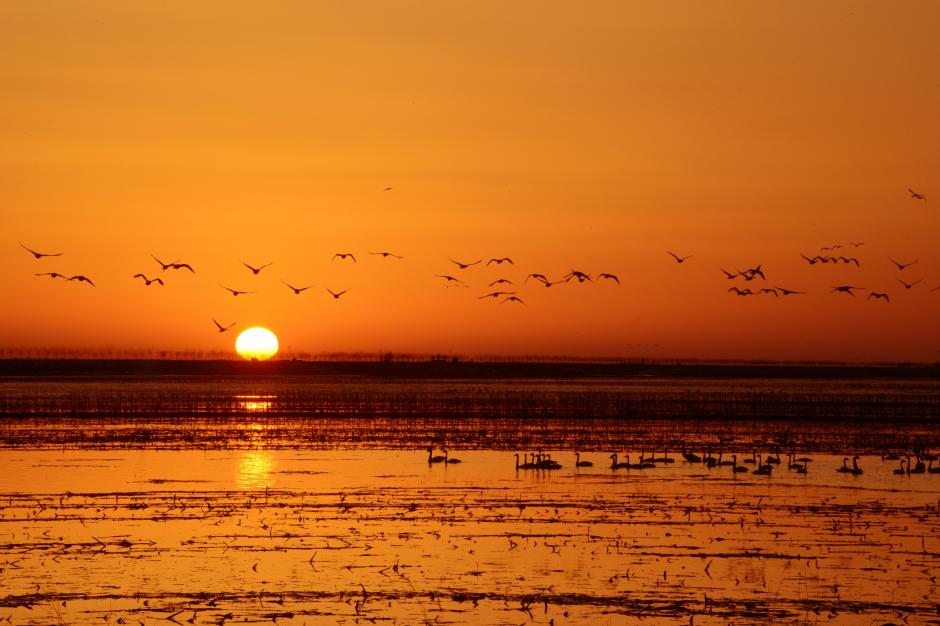 黄河夕照