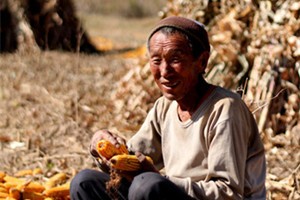幸福老人