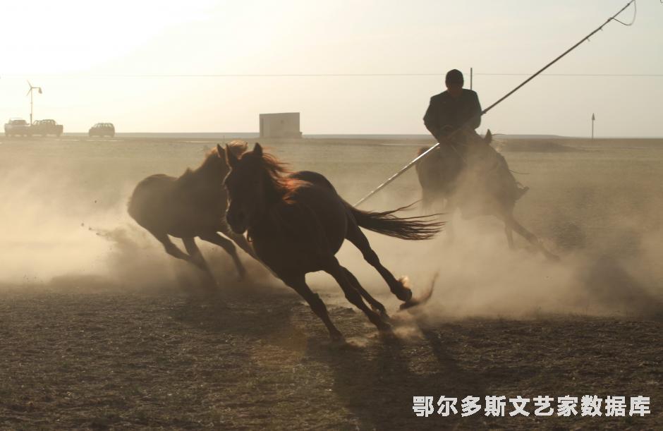 11.套马  杨廷华摄