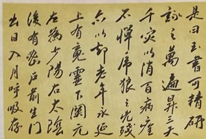 张建国作品集