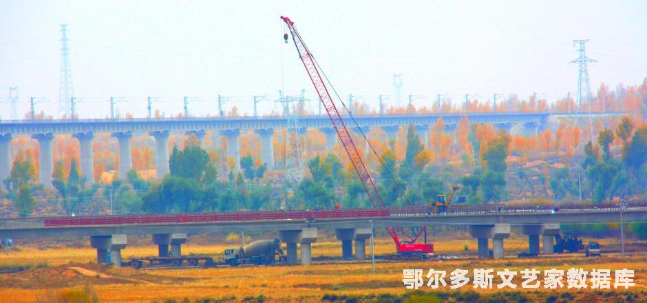 11、金秋（摄于九大区）