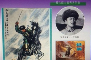 卢凤岐书籍作品