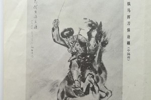 卢凤岐书籍作品