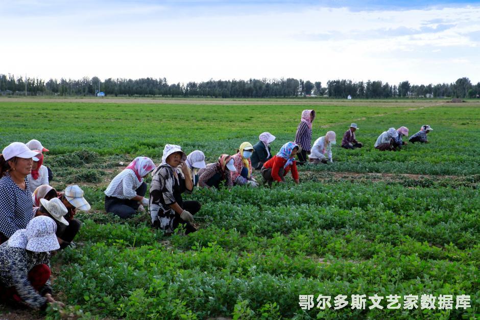 《乡村打工妹》--靳晓荣摄于蒙根花园区（13947747172）
