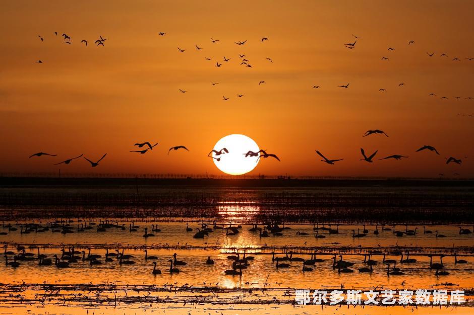 《黄河滩上的丽影》--靳晓荣摄于达旗树林召镇（13947747172）1