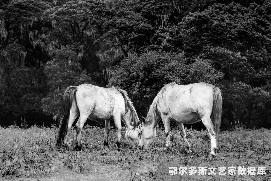 《是騳非騳》
