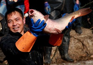 大树湾黄河鱼