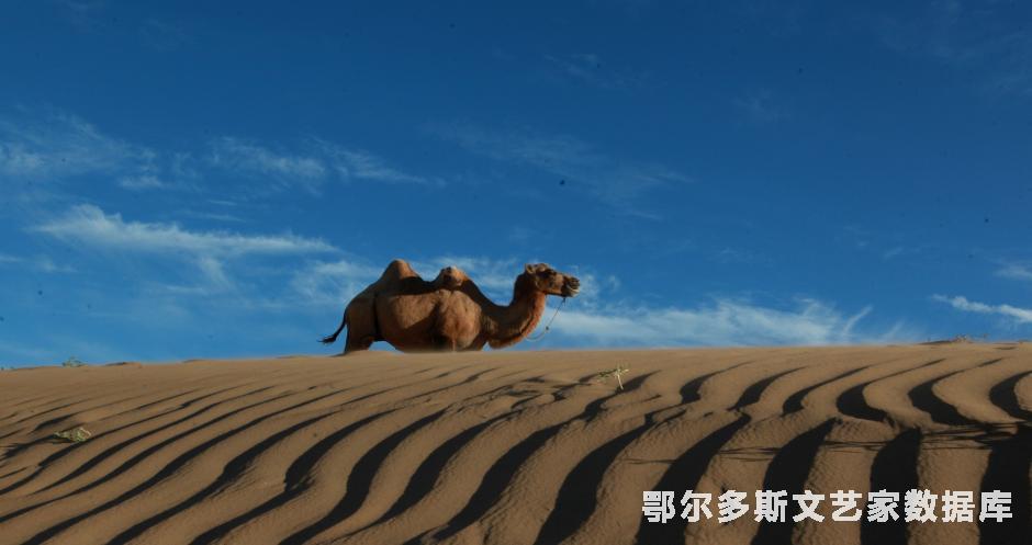 行者--摄影；张步恒，电话；15044913367