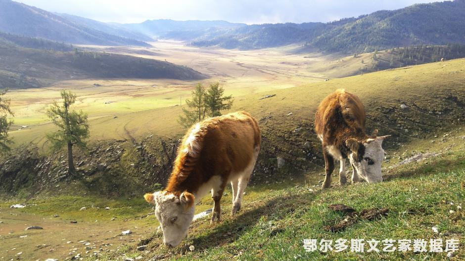 北疆秋牧图