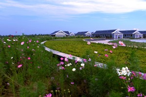 美丽新农村