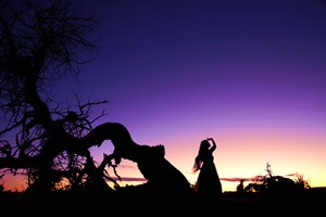 胡杨女人