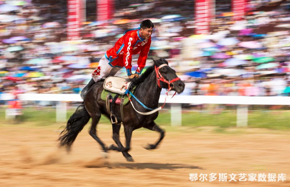 骑士风采