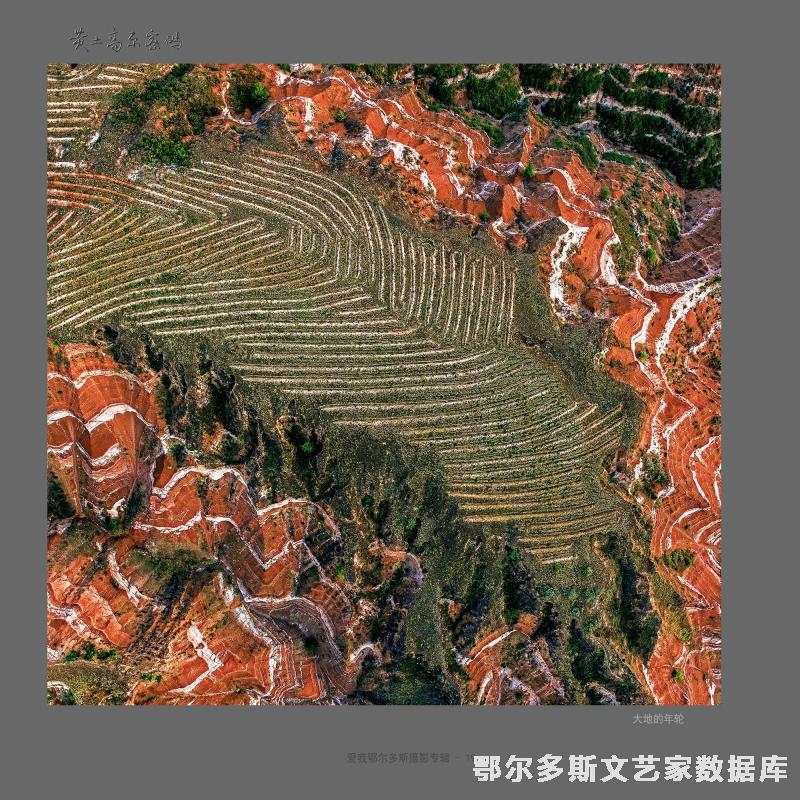 22大地的年轮