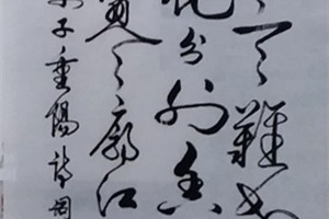 张新宽书法作品