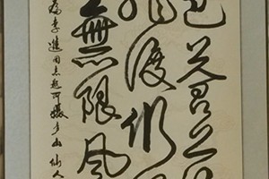 张新宽书法作品