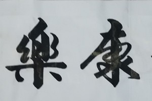 张新宽书法作品
