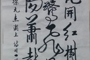 张新宽书法作品