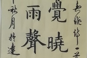 张新宽书法作品