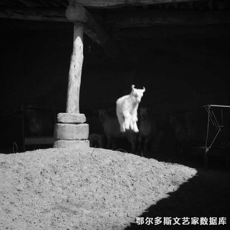 微信图片_20181017165150