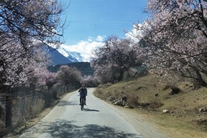 画中游