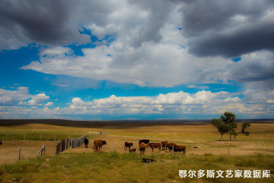 鄂托克旗新召红光村
