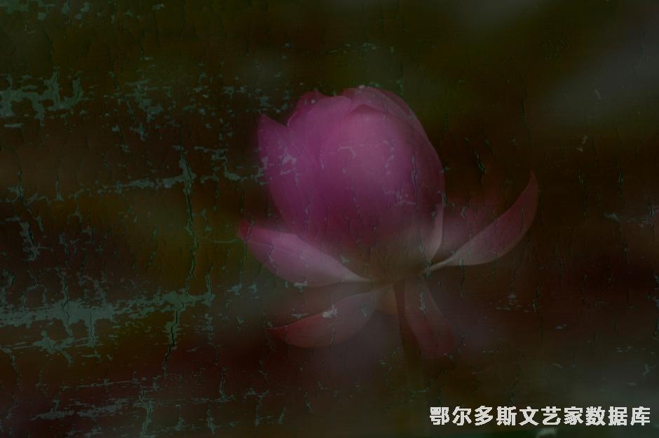 仿漆画  荷2
