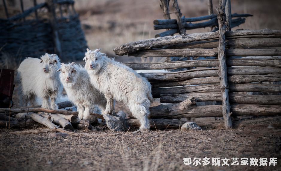 环境——达布希拉图摄