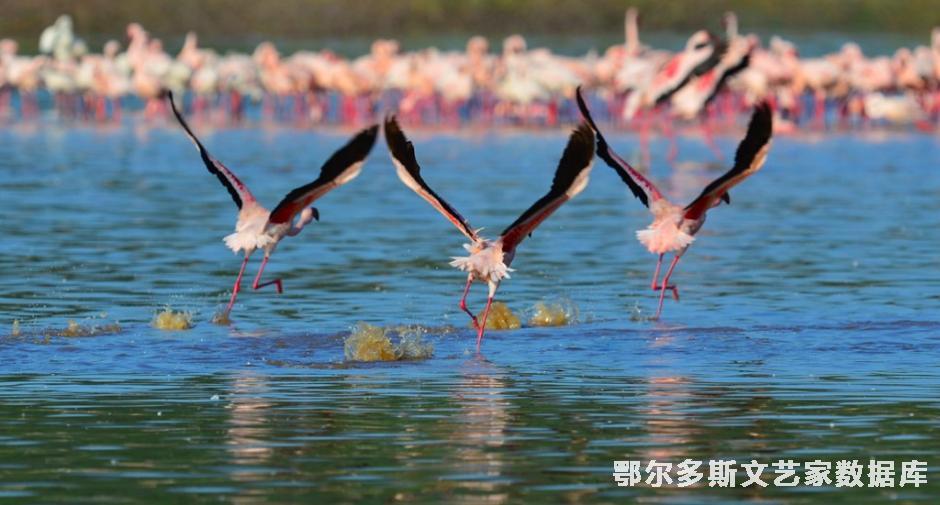 竞技