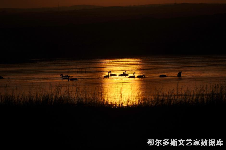 谐 图亚摄   在鄂尔多斯市首届环保摄影大赛中荣获优秀奖