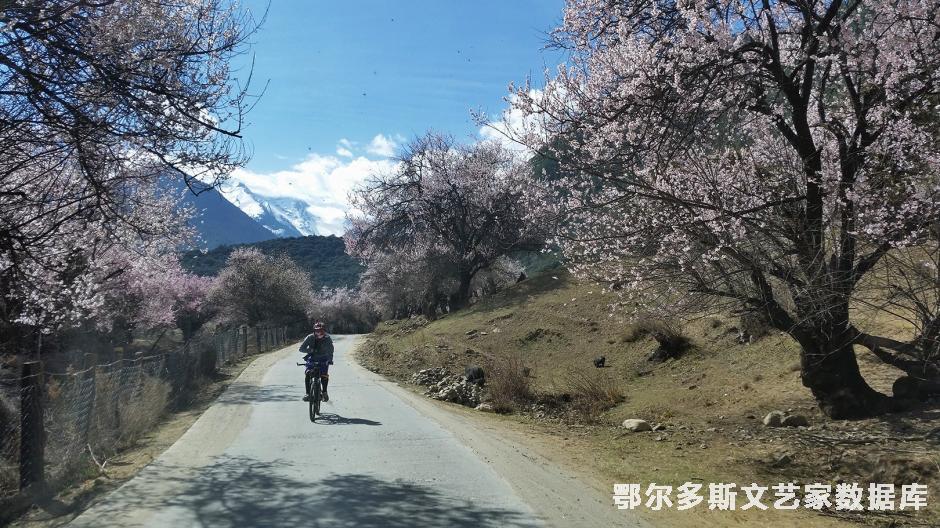 画中游