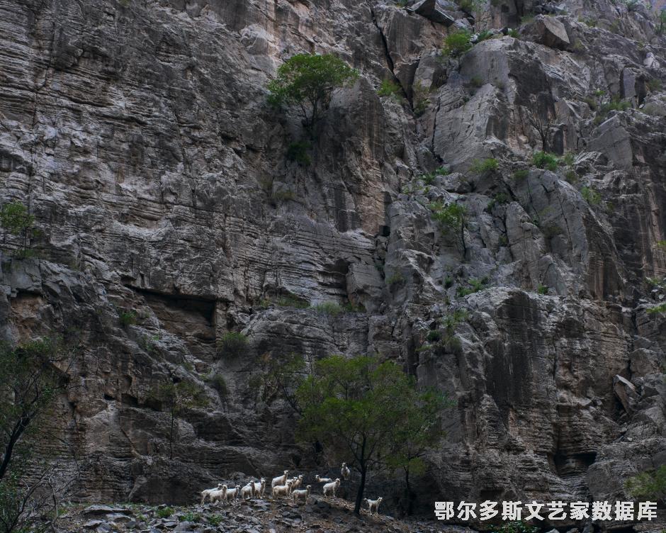 精灵的家园---达布希拉图摄jpg副本