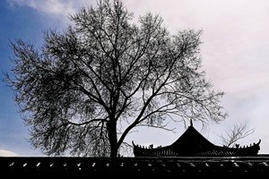 相守