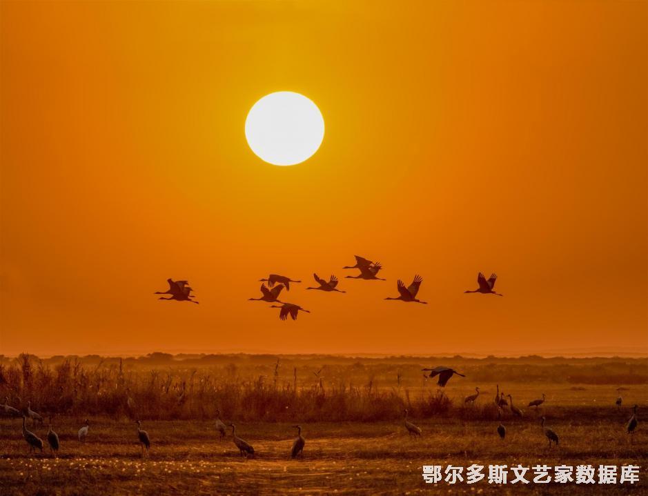 （暮归） 作者 吴翠芬 