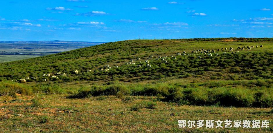 8.标题《草原多绿色》