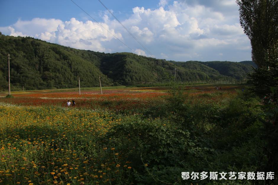 2.标题《七彩田野》