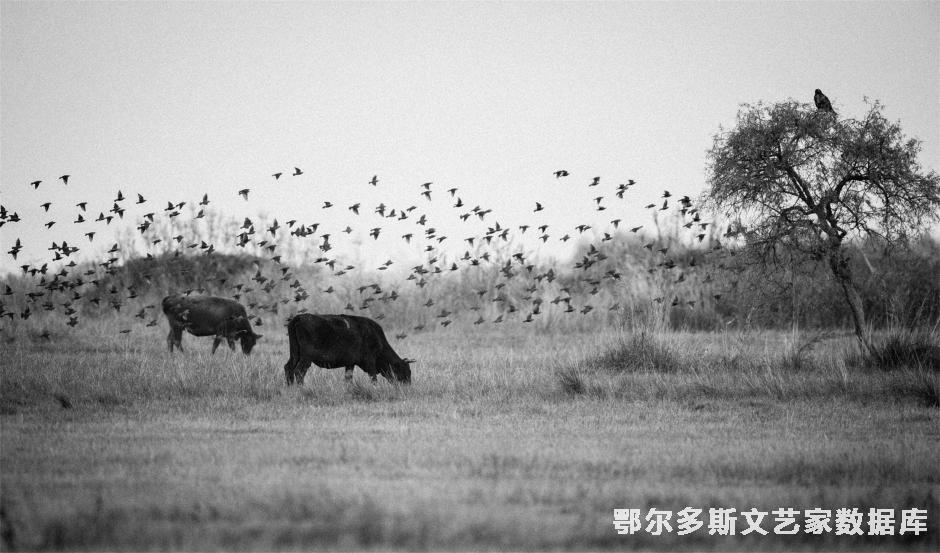 （和谐） 作者 吴翠芬 