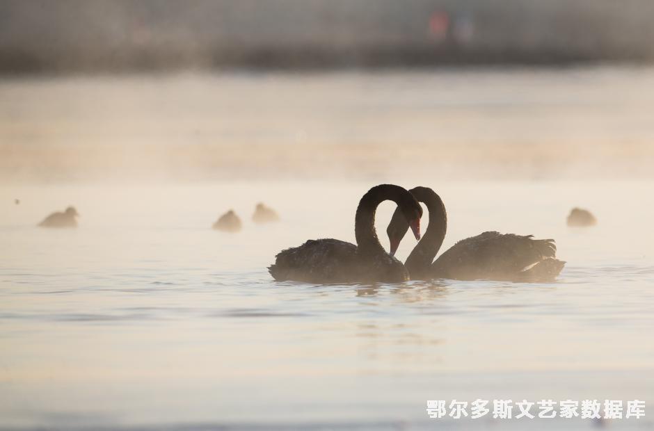 (雾中情意浓） 