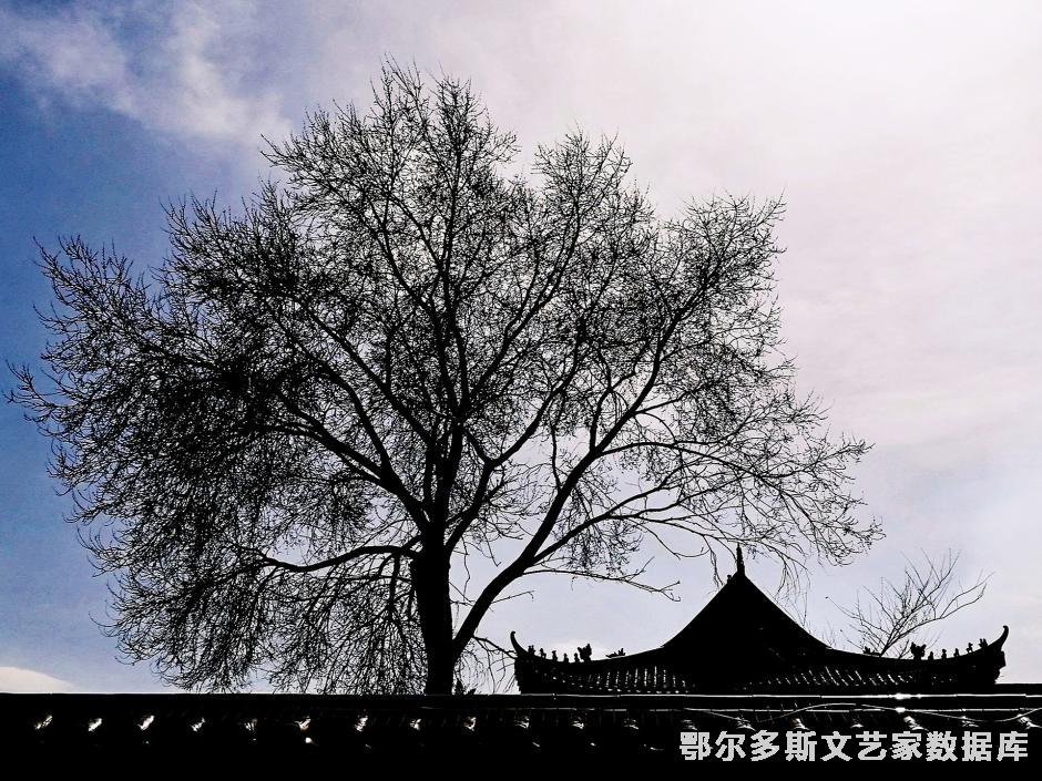 相守：额尔定吉雅摄.jpg1