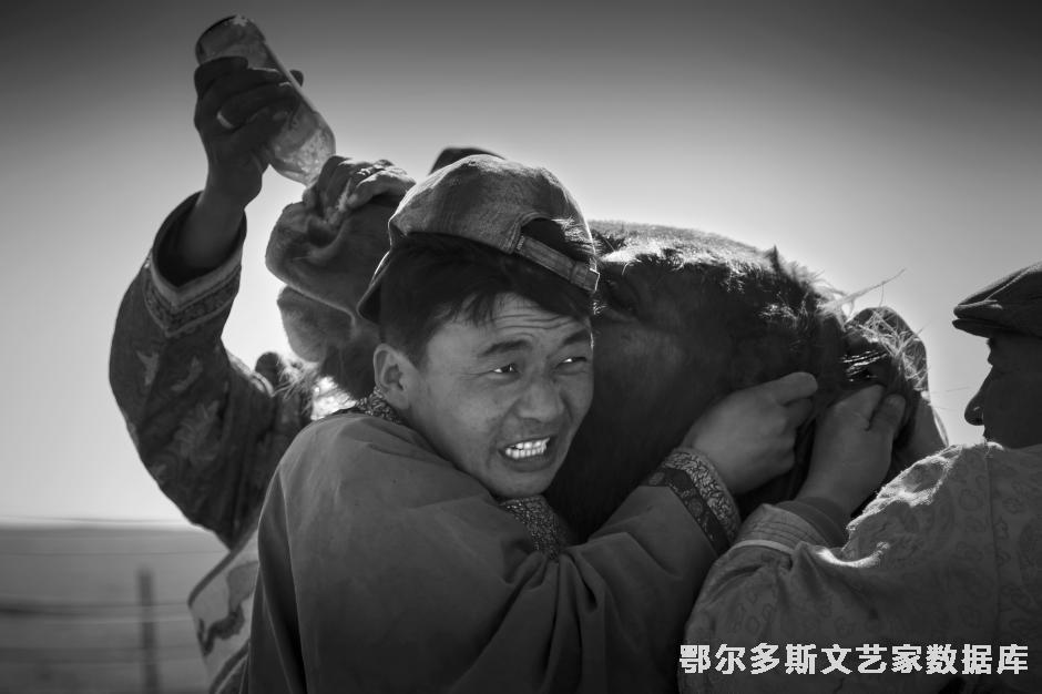 马颂传承组照之四（灌马）