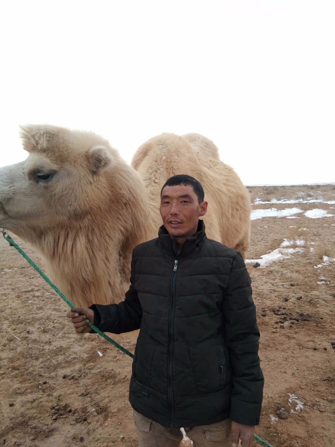 巴图道日计