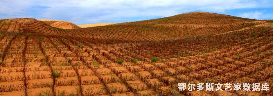 3.缚住沙龙  杨廷华摄13704771368