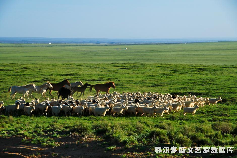 草原之歌（版权所有侵权必究）——郝常明摄；13947718258；鄂托克旗报社；邮编；016100