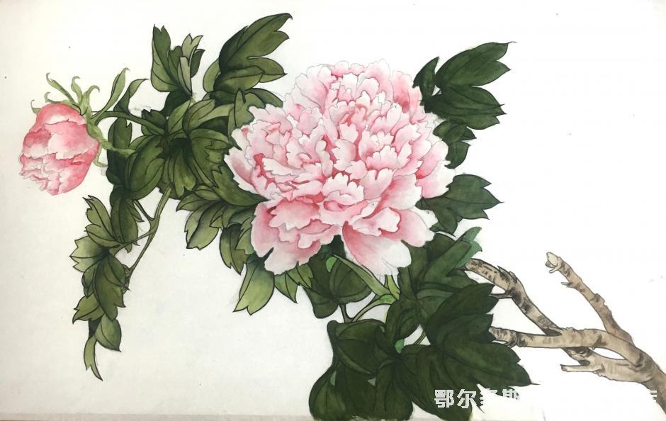 芙蓉 国画 40cm×80cm