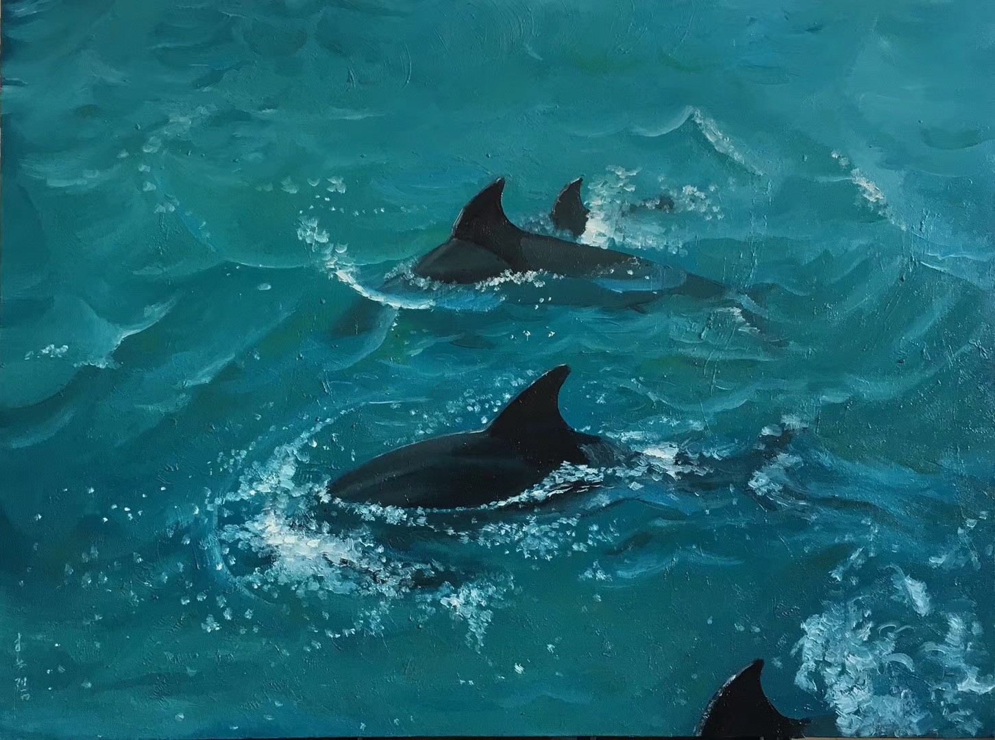 海豚