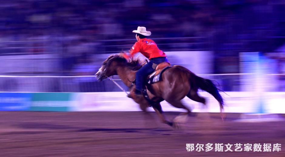 5.风弛电掣  杨廷华摄