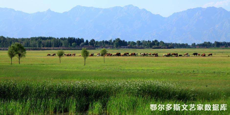 10.达拉滩上好风光  杨廷华摄