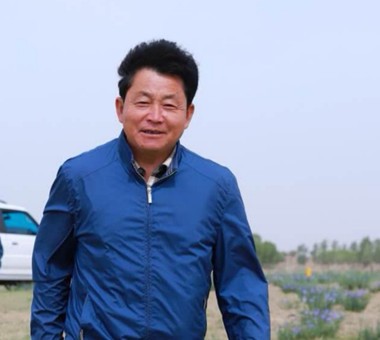 脑门达来