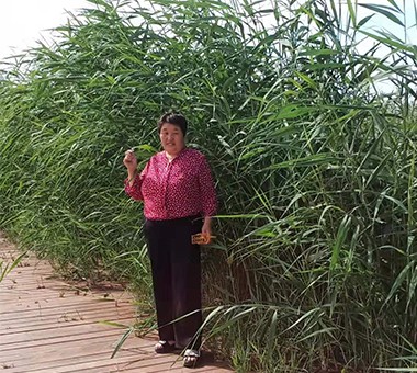 敖特更那木尔
