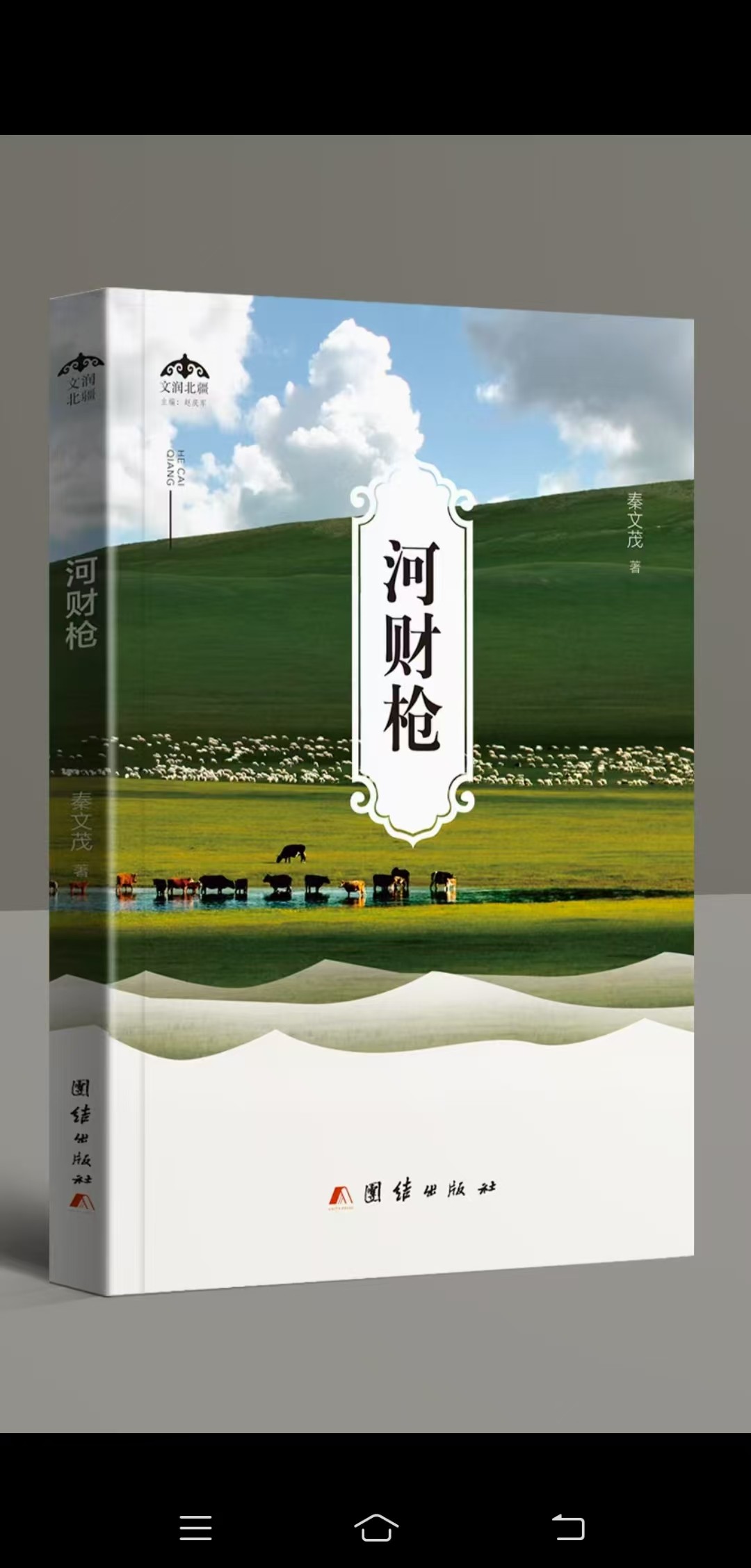 河财枪