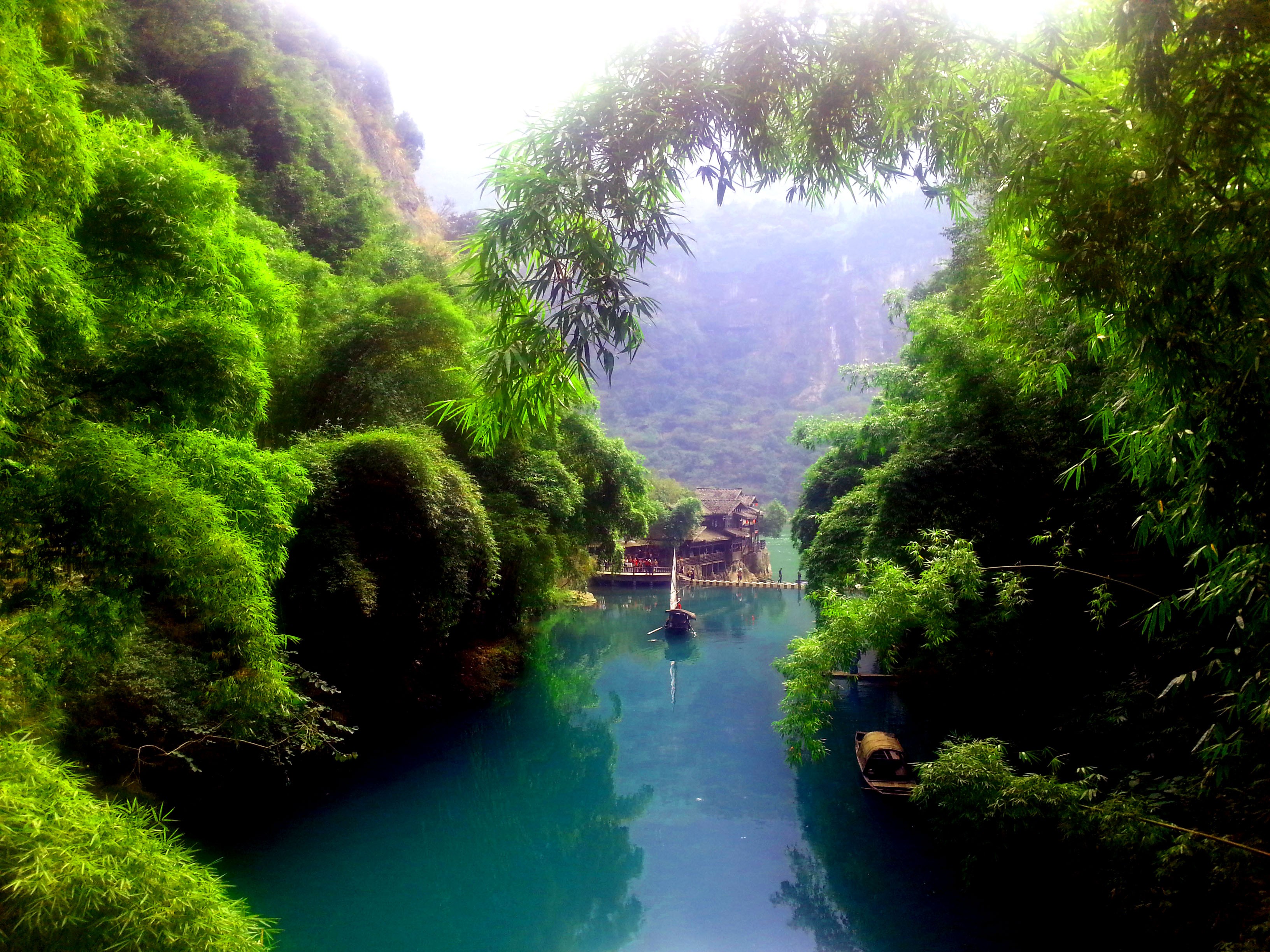 《水竹交融.